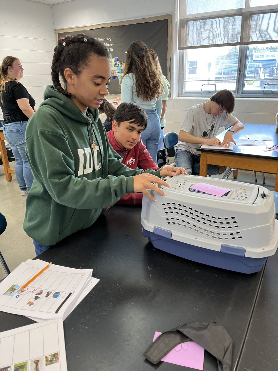 manzi_smith's tweet photo. On Friday Ag 2 Animal Handling students practiced applying restraint tools to stuffed animals before they try them out in the real animals! 1/2 https://t.co/5m6aUqgVGU