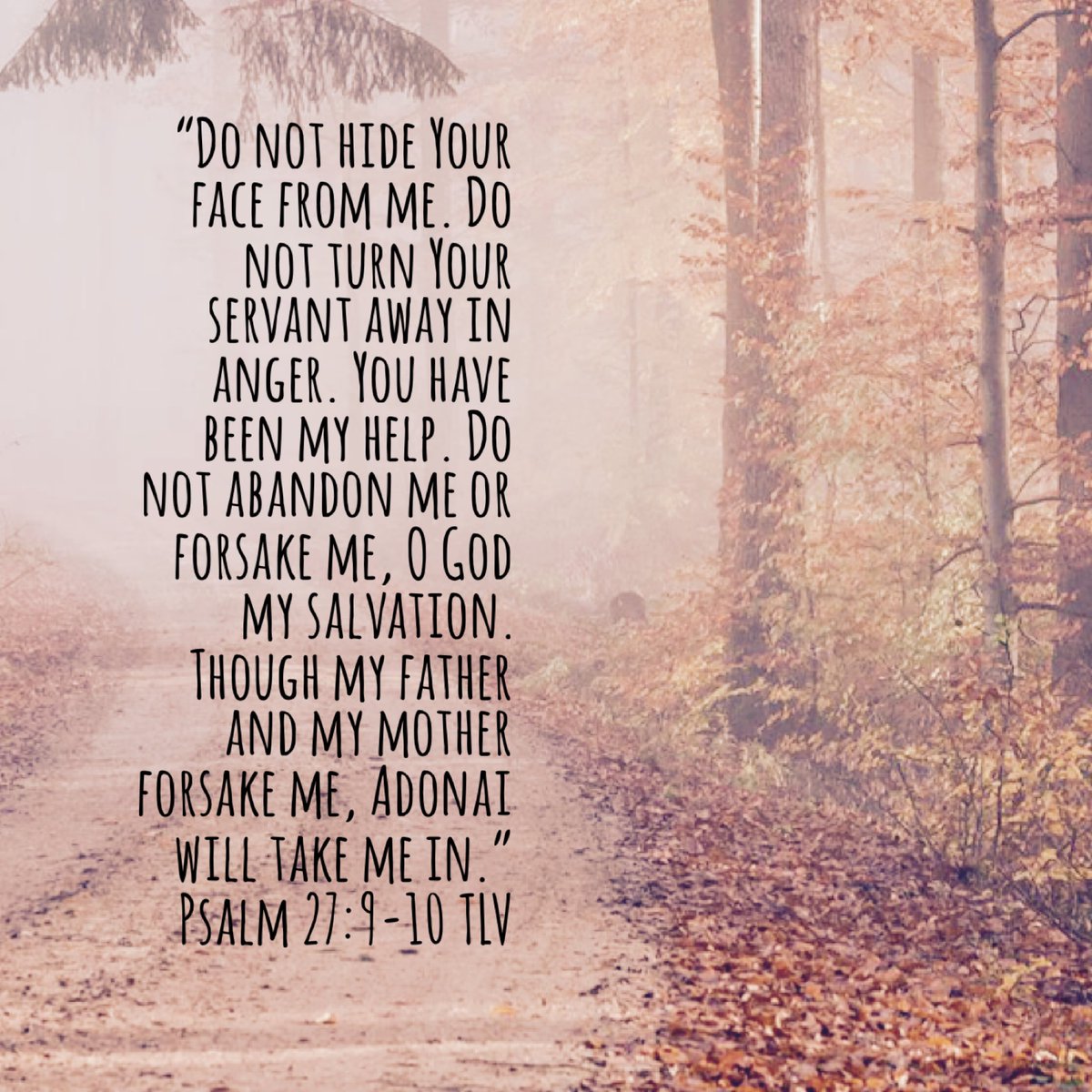 YMJAinfo's tweet photo. David cried out to God and took comfort in His presence because he knew that God would never let him down. No matter what, God is always there for us. Whatever you are going through, God cares and is ready for you to spend time with him. #prepare #elul #psalm27 https://t.co/f3x6svNCfY