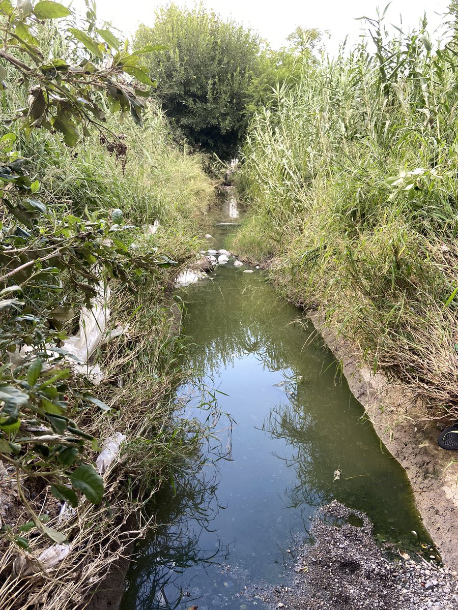 DRAMOSRDZ's tweet photo. @AguasdeSaltillo @CICsal @SaltilloGob Nueva fuga en Parque Ecológico El Paraíso. Alberca de aguas negras por tubería rota. Ayuda por favor, malos olores y foco de infección. https://t.co/nsfO8M7jLP