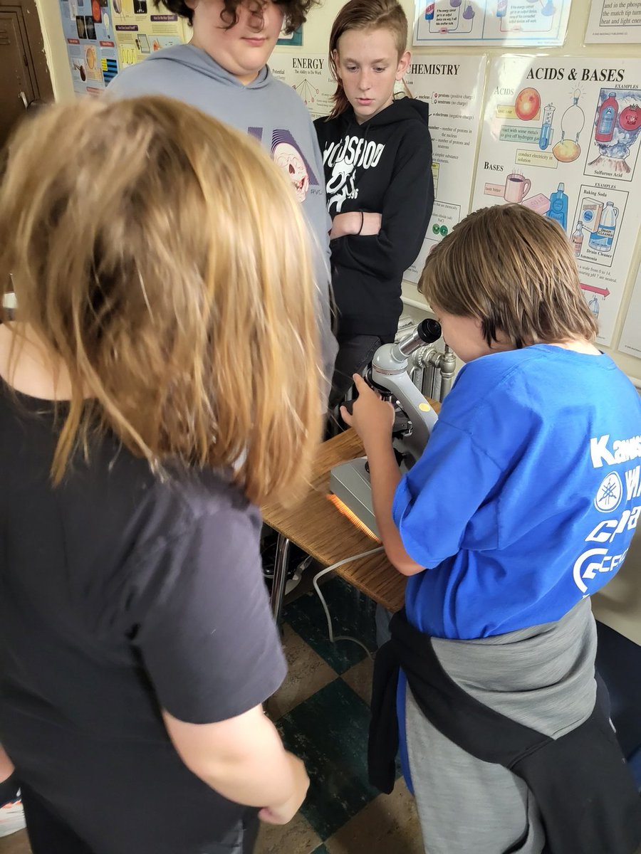 jmclain228's tweet photo. What do we see in pond water. 7th grade. https://t.co/sY6pl2yYBP