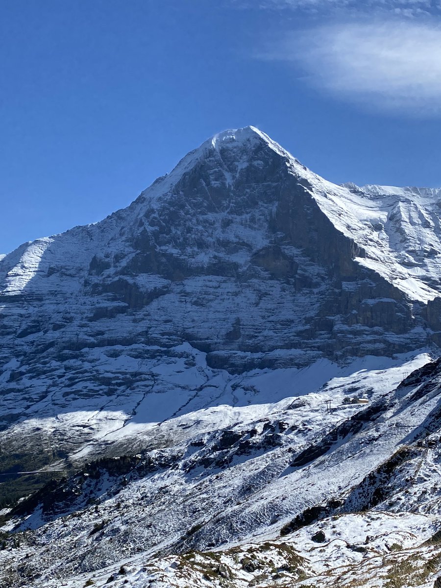 ICS Resort Mission Wengen tweet media