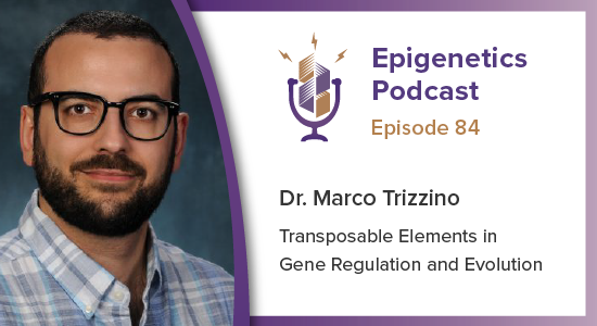 Epigenetics Podcast tweet media