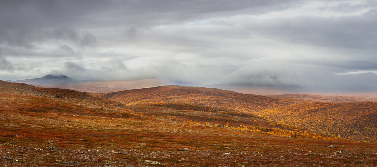arcticlightadv's tweet photo. Something I created. Utsjoki, Finland. The northernmost places in Finland. Panorama, handheld. View is to Norway. Rastigaisa under the clouds. #utsjoki #exploreutsjoki #canon #canonphotography #autumn https://t.co/Rm9xvo1AVW