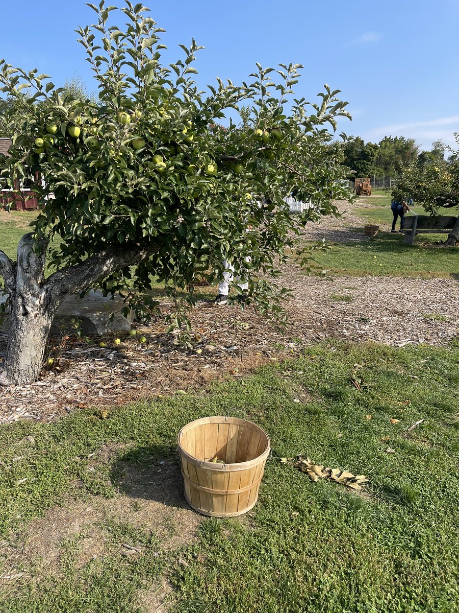 learndaley's tweet image. Vocational job training @LawrenceFarms1 #workethic #community #localbusiness