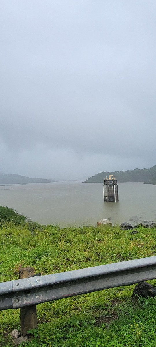 Ldvargas24's tweet photo. Poco a poco se va llenando el lago de Toa vaca villalba. https://t.co/ebpuue4UKf