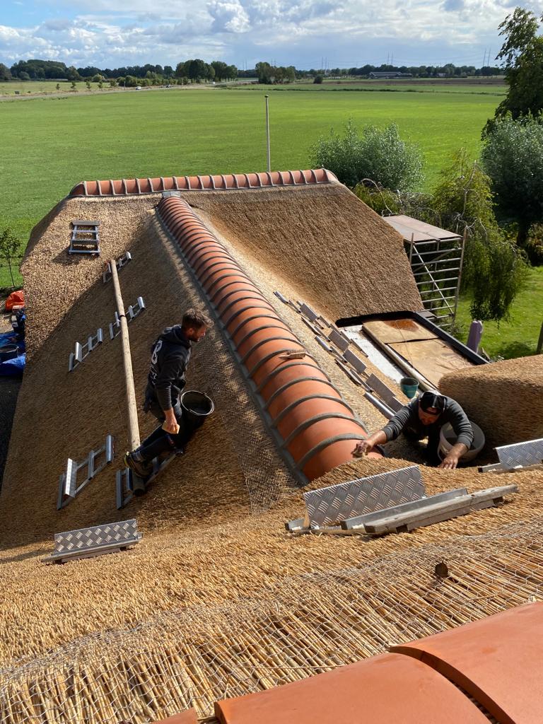 Ridging in the Netherlands. Unlike the straw and hazel ridges I am familiar with in England, here clay tiles -'nokvorst'- are traditionally used on thatched roofs. Today I learned how to fit them