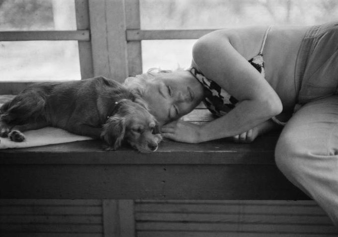 ScozzariFrank's tweet photo. Sometimes good things fall apart, so better things can come together.
—Marilyn Monroe— https://t.co/nR2tqgAFnE