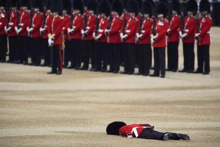 sirlablu's tweet photo. Anybody notice how the British Royal Guard &amp; Police officers dey collapse up &amp; down from exhaustion for the Queen burial. If na the Nigerian Brigade of Guards,Navy, Airforce,Army or Police officers dey collapse anyhow for a State function like this
Guess what would have happened https://t.co/IXOASA2YWl