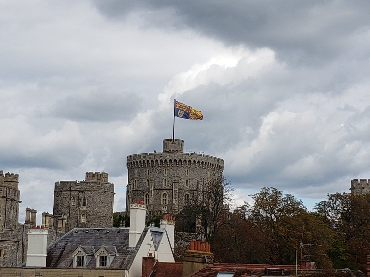 Janice McDonald tweet media