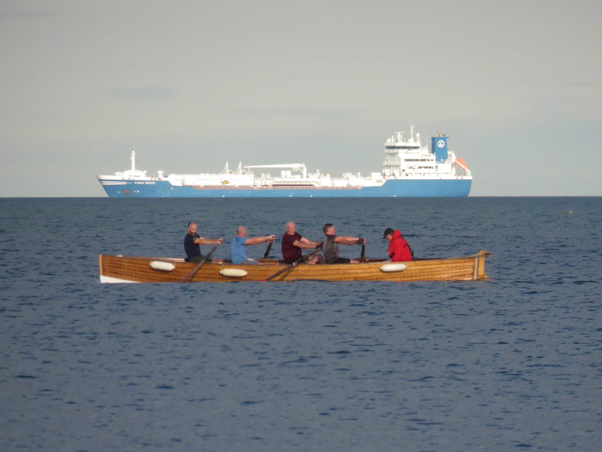 Dalkey Rowing Club tweet media