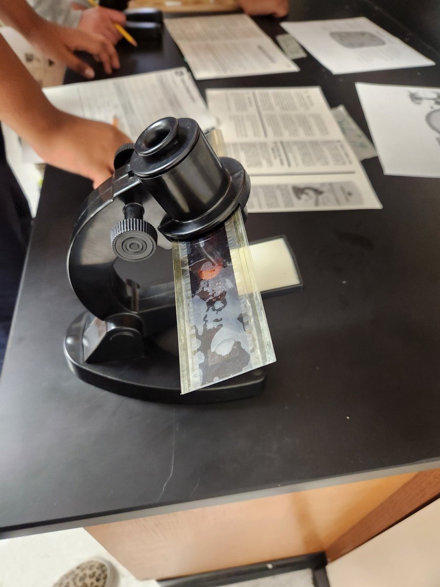 McGowenSci's tweet photo. Our 7th grade students enjoyed using the microscopes and microslide viewers during their levels of organization stations.@WellsWolverines #SpringISD #HandsOnLearning #WMSscience https://t.co/tkxcSzeiQb