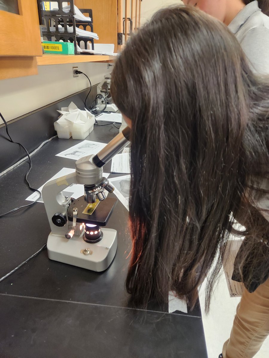 McGowenSci's tweet photo. Our 7th grade students enjoyed using the microscopes and microslide viewers during their levels of organization stations.@WellsWolverines #SpringISD #HandsOnLearning #WMSscience https://t.co/tkxcSzeiQb
