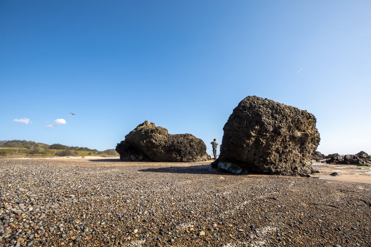 ThatsMyPark's tweet photo. Film your next Instagram reel with friends at Gazos Creek State Beach! πΉβ±οΈ
The boulders and broken cliffs at this beach transport you to a lost world β or a film set! ποΈ #FindNewAdventure https://t.co/vIlkYp3isV