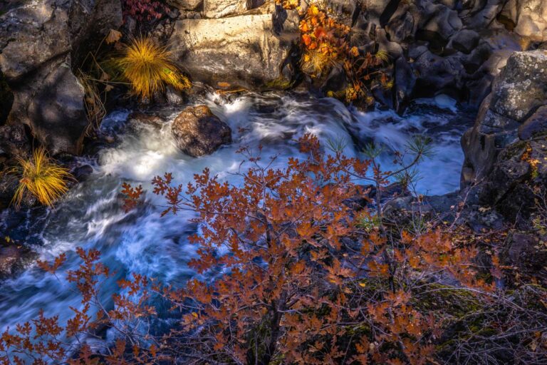 PPICNotes's tweet photo. 🔸ICYMI🔸 Last week's analyses: @PPICWater examines a new tool that could help protect water bodies throughout the state, commentary on #ScienceEd, and a look at #abortion rights and the #202Election.

More: https://t.co/qX4VXkiA89 https://t.co/lJgju5PbYW
