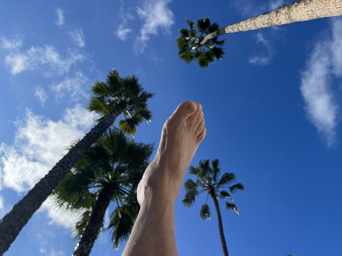 DannyDeVito's tweet image. Trollfoot LA091922