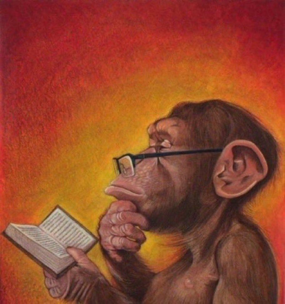 TAR0GY3L's tweet image. the most publicly colorist kpop idols have white dogs…think about it #staywoke #colorrunsdeep #positivecorrelation #pyschology