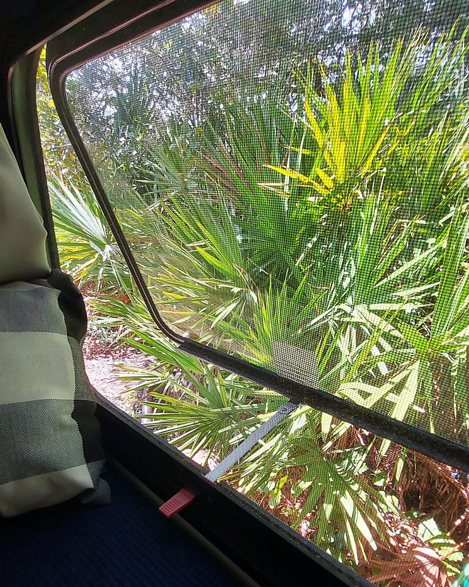 eatsleeprvrpt's tweet photo. That moment you open all the windows, the door and the fans.  Nothing beats the natural lights with a cool cross breeze and all this beautiful greenery. 
#rvlife #fulltimerv #thousandtrails #tto #orlandorvresort #clermontfl #letsjayco #jaycorv https://t.co/fiNkOeAsx8