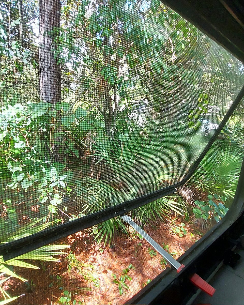 eatsleeprvrpt's tweet photo. That moment you open all the windows, the door and the fans.  Nothing beats the natural lights with a cool cross breeze and all this beautiful greenery. 
#rvlife #fulltimerv #thousandtrails #tto #orlandorvresort #clermontfl #letsjayco #jaycorv https://t.co/fiNkOeAsx8