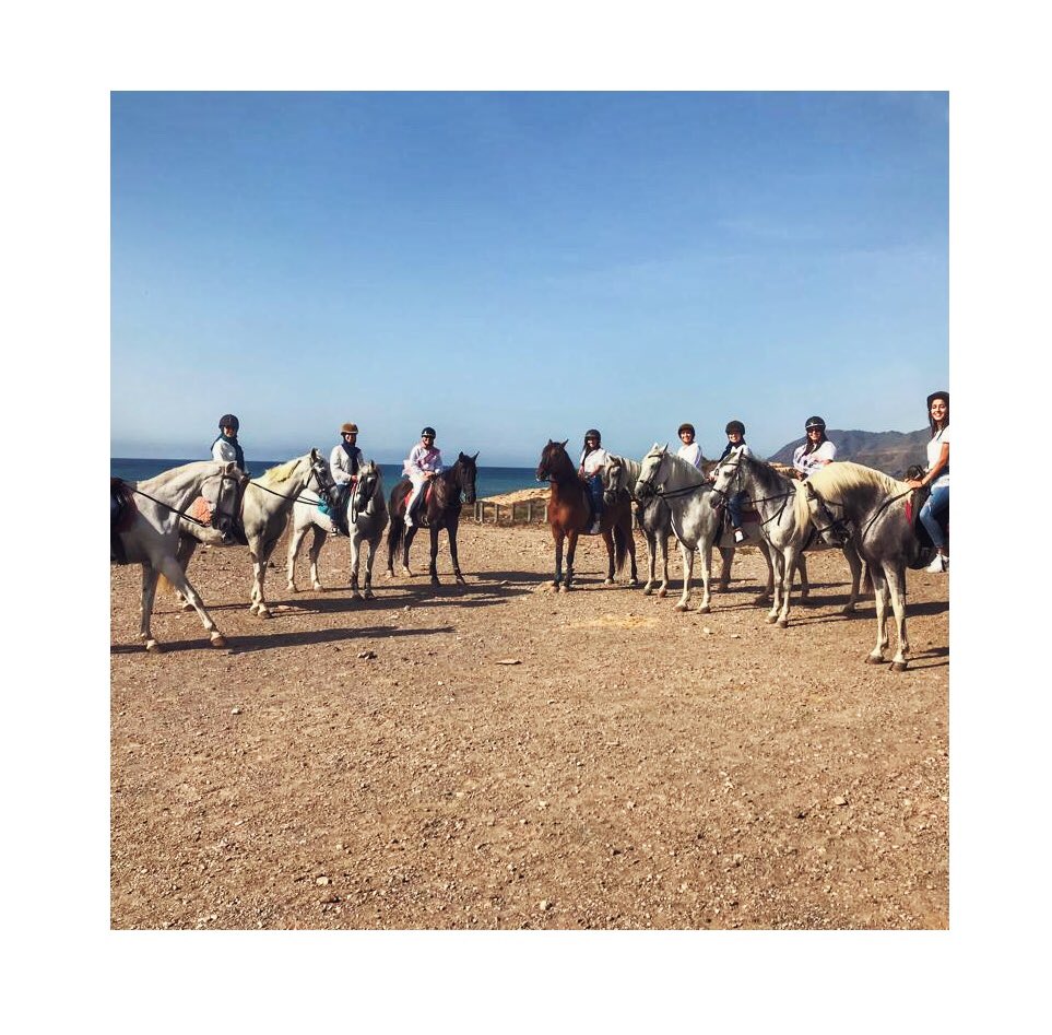 _PlanOut's tweet photo. 🔵 ¿Todavía no has conocido a los caballos 🐴 #PlanOut?
👉🏼 Vive una aventura inolvidable en el @CalblanquePR al paso, trope o galope 🐎
👉🏼 Escríbenos para consultar fechas y horarios. Rutas de 1 hora o 3 horas.
¡Te esperamos! https://t.co/8nyTbslDCt