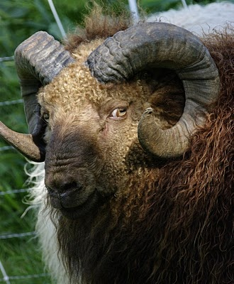 Ram (@ramhourly) on Twitter photo 