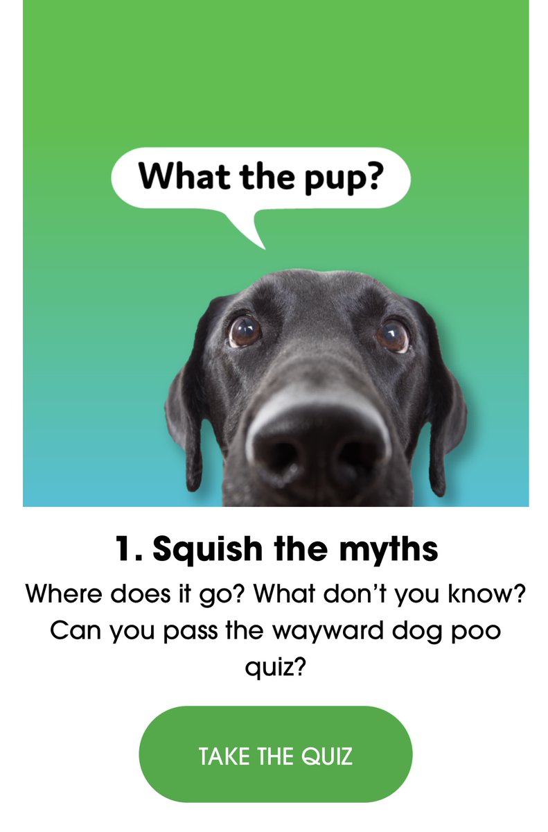 poogooder's tweet photo. I scored 9/9 (Top dog!) on the @poogooder #zeropoo challenge wayward dog poo #quiz. Can you get all 9 answers correct? Do it for people, pups &amp; the planet! 🌎🐶🦭🐾🙌🐙💩❤️https://t.co/p7Yc3ASJqr 

#poogooder @SeattleDiveTour @MaSTCtr @SR3Sealife @earthrated @MudBay #scoopthepoop https://t.co/G5H9YSYj0i