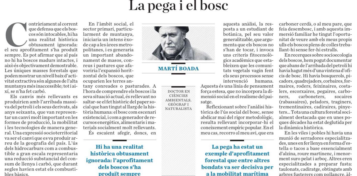 Lhe fet cansat del discurs de la intocabilitat i la necessària "virginitat" dels boscos,  instal.lat a l'administració i a la própia acadèmia.
Demano que li doneu difusió, que no el considereu un article d'opinió més, sino com una informació serena i objectiva.