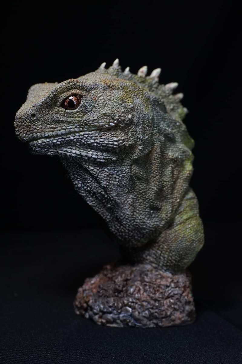 TZUCHILEE2's tweet photo. 天地造物NO.29 喙頭蜥 塗裝完成
#喙頭蜥
#tuatara
#Sphenodon
#筆塗
#造物藝術創作 https://t.co/8SY1VnkYkh