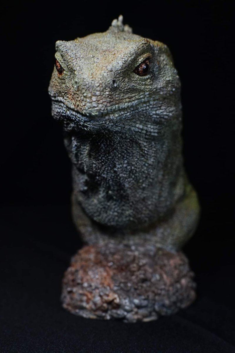 TZUCHILEE2's tweet photo. 天地造物NO.29 喙頭蜥 塗裝完成
#喙頭蜥
#tuatara
#Sphenodon
#筆塗
#造物藝術創作 https://t.co/8SY1VnkYkh
