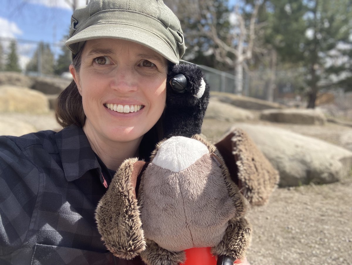 thimble_yyc's tweet photo. Curious about what happens at one of our at-school nature programs? 

Wondering how we connect to curriculum you're teaching this year?

Check out the detailed outline for Stories in the Schoolyard (K-4) here:

https://t.co/z8VDF8XalK

Booking now for Fall 🍂

#GaryTheGoose #YYC https://t.co/cKFZeMElUF