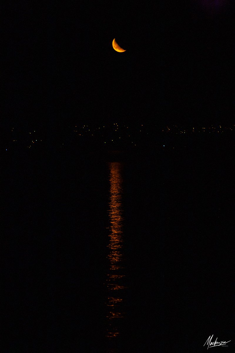 mackenzieimages's tweet photo. #moonrise #seattle #PhotoOfTheDay #photography #komonews When you find yourself out during the night giving the puppy a little walk in the back yard, look what appeared...the Waning Crescent Moon (33.6%) rising over Magnolia and Queen Anne neighborhoods of the Seattle area. https://t.co/7Bi0c9j7R1