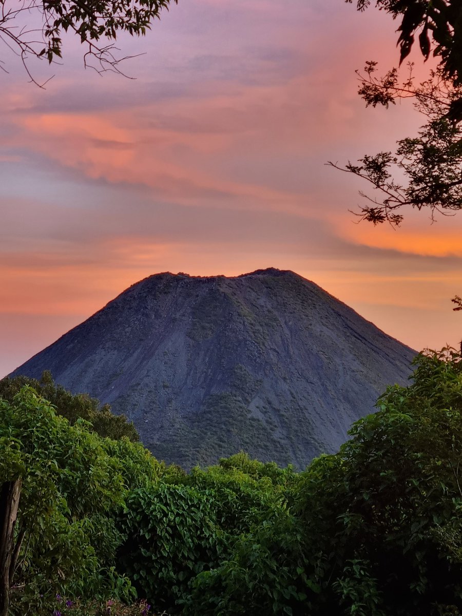 Jess Rainbow tweet media