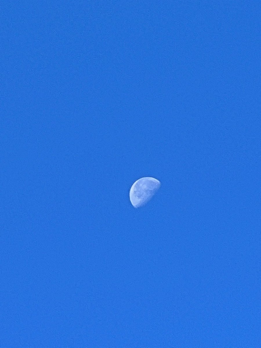 AudriusKiu's tweet photo. So close :)
#2moon #readytomoon https://t.co/WIQDpgmOyt