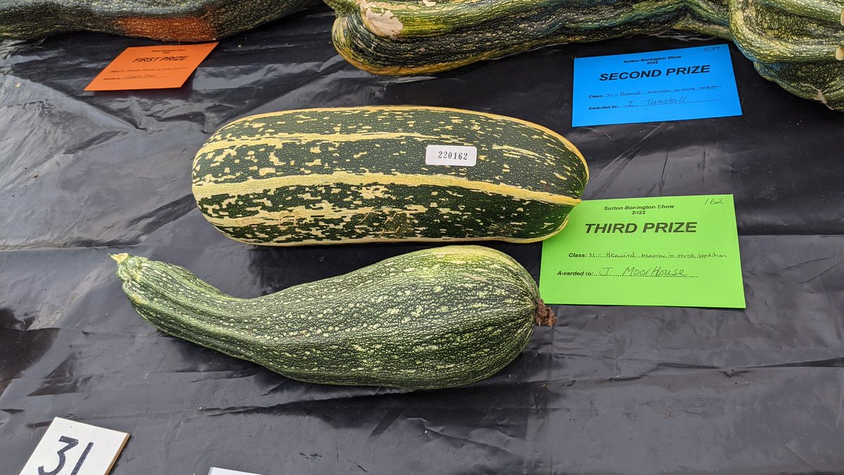 Are you a secret competition-marrow grower @justinmoorhouse? If so, better luck next year 🤞
