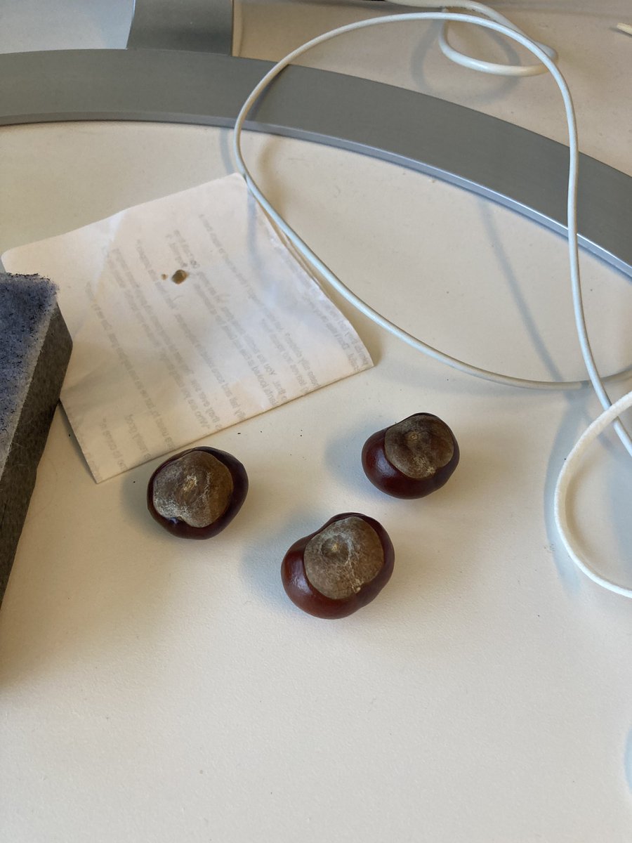 David L^2 tweet media