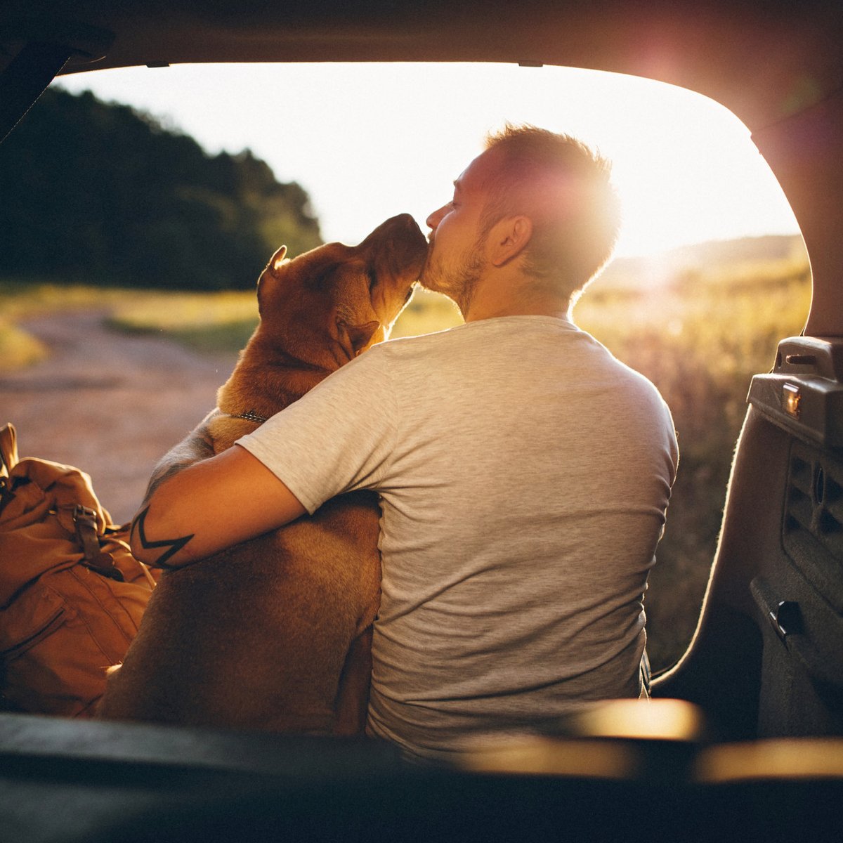 MNP_LLP's tweet photo. Have a furry family member? To provide support and peace of mind, MNP has partnered with one of Canada's top pet insurance providers to offer team members discounted rates.
Find your #LifeAtMNP by visiting https://t.co/ZwgbAlWnGW https://t.co/RacUpPG7i1