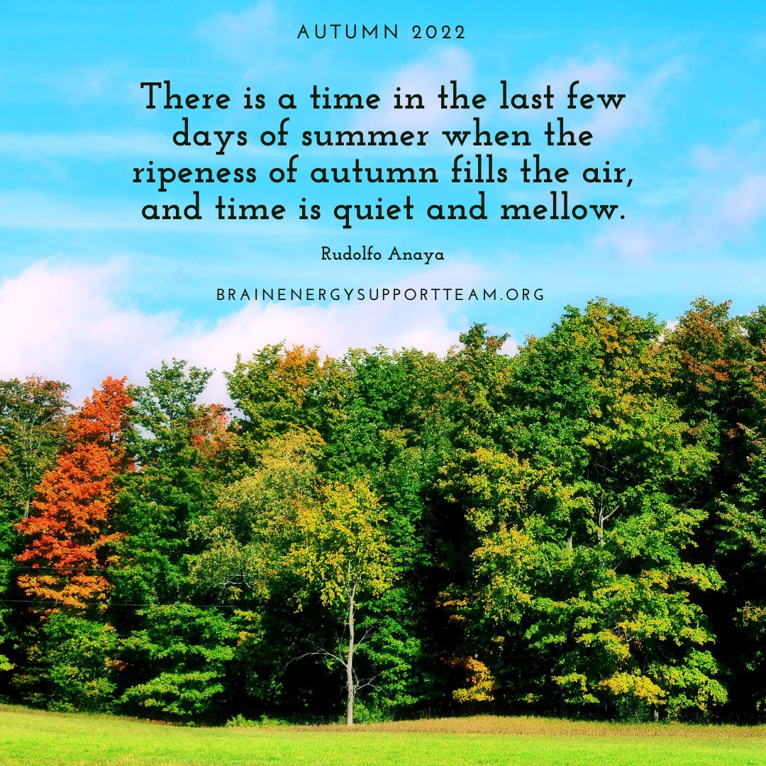 'There is a time in the last few days of summer when the ripeness of autumn fills the air and time is quiet and mellow.' 

#EmpowerYourBrain #Autumn #Fall #MondayMotivation #Fall2022 #NewSeason #HelloFall #MondayThoughts #MondayMood #FallVibes #AutumnVibes