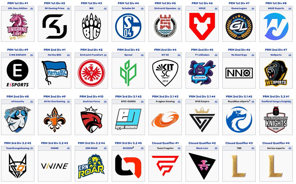 We've won the closed qualifier, and we are proud to announce we will be playing in the <a href="/PrimeLeague/">Die Techniker Prime League</a>  Super cup 2022