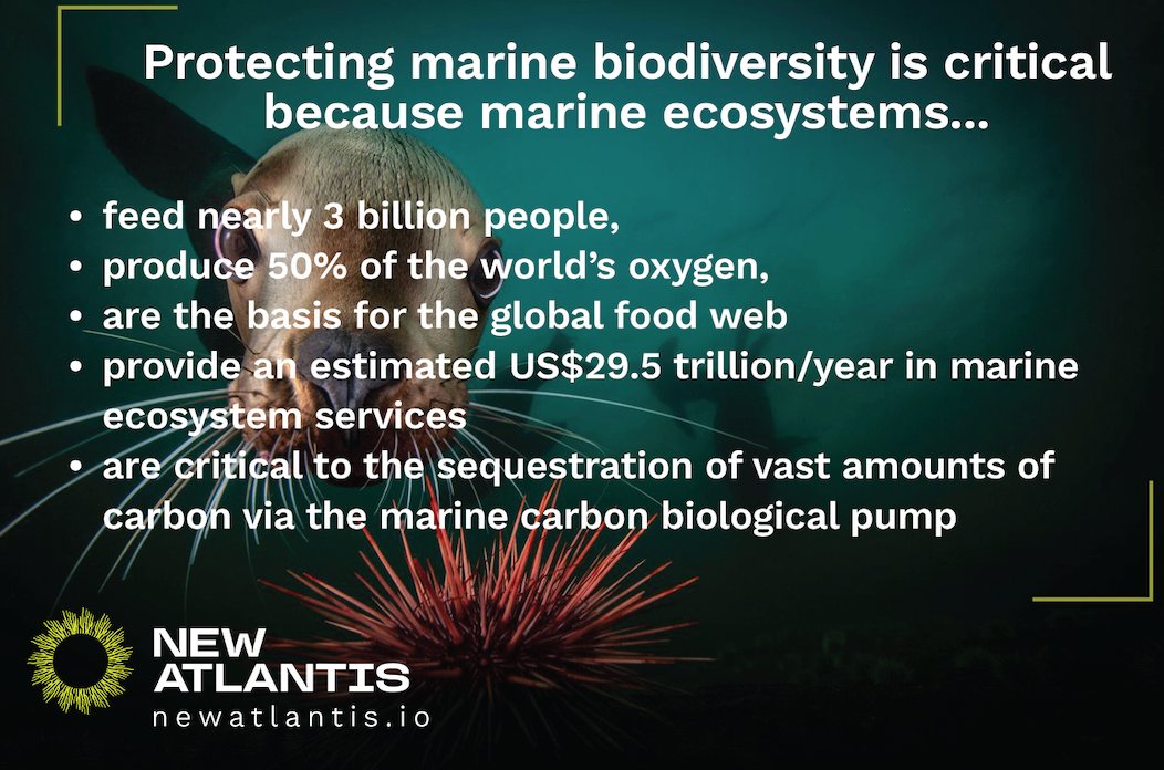 NewAtlantis tweet media