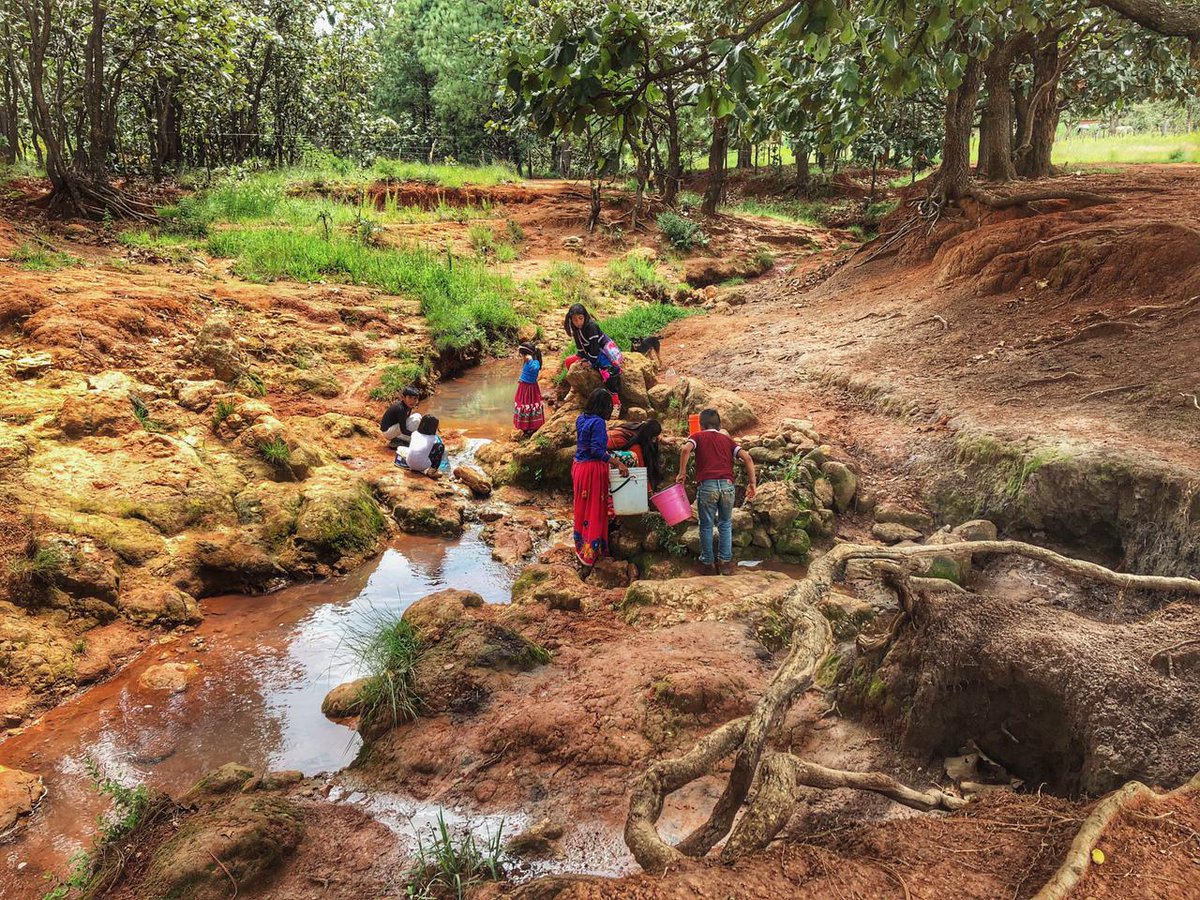 Adrián Pedrozo-Acuña tweet media