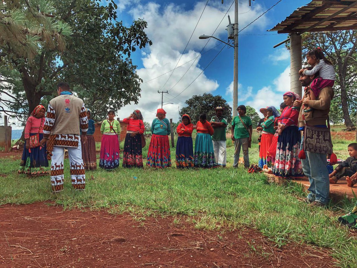 Adrián Pedrozo-Acuña tweet media