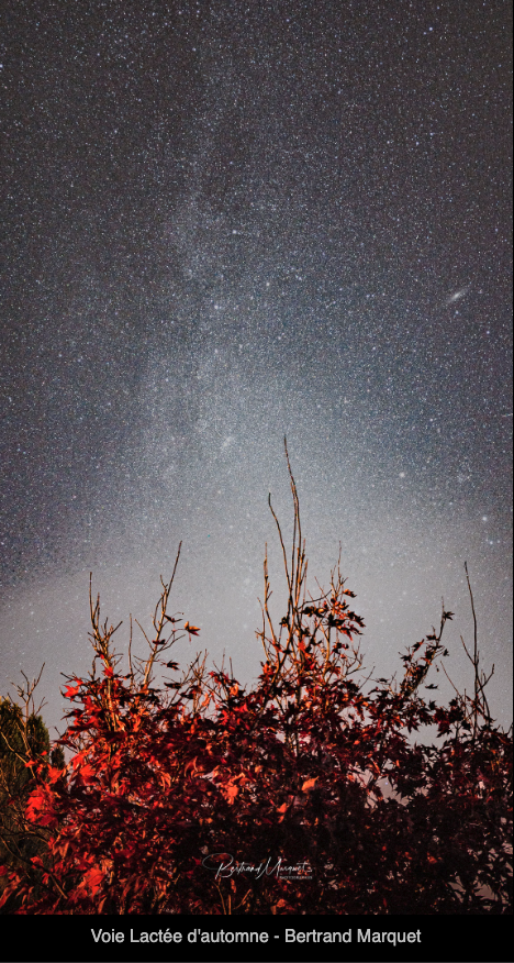 <a href="/ChasseursNuits/">Chasseurs de Nuits 🌉</a> Merci à <a href="/ChasseursNuits/">Chasseurs de Nuits 🌉</a> de me faire l'honneur d'avoir choisi 3 de mes photos paysages nocturnes dans les photos lauréates du concours 🙏#PhotoNightScapeAwards 2022
Celle que je préfère est celle prise au sein de la RICE @PNRMillevaches ⬇️
#teampixel #madebygoogle #pixel6pro