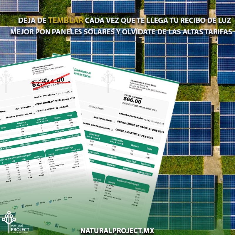 NaturalPro_Mx's tweet photo. No corro, no grito, no empujo; reglas esenciales para conservar la calma en cualquier momentos. Hay momentos en la vida que tenemos que hacer lo contrario. Corre por tu paneles solares, grítanos para instalarlos y empuja a los demás a un mundo más sustentable. #EnergíaSolar https://t.co/9wQyNAOEFi
