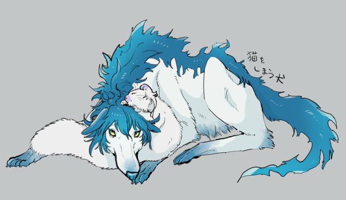 犬猫嵐の夜にはとくに。 