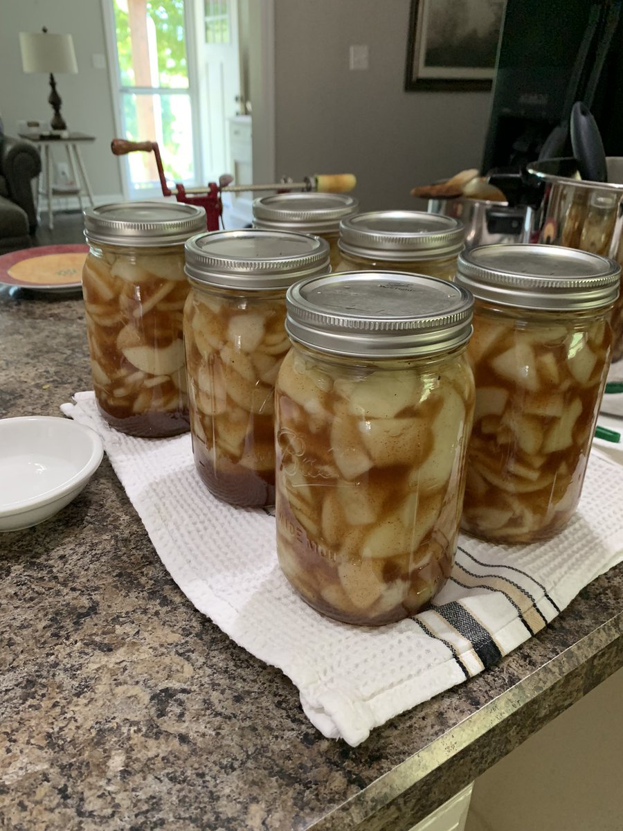 MtnGirlbarefootGardening tweet media