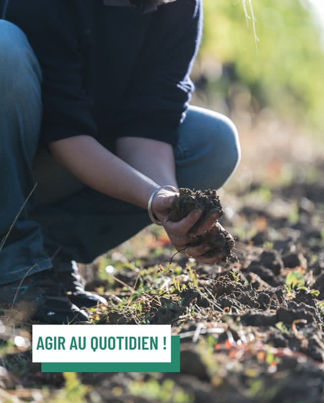 ♻️"Agir au quotidien", le thème de la semaine du #développement #durable résonne si bien avec la démarche et la philosophie #terravitis! De nombreux "petits gestes du quotidien" pour produire des vins de manière durable et responsable.♻️
#SEDD #vin #Sustainable #SEDD2022