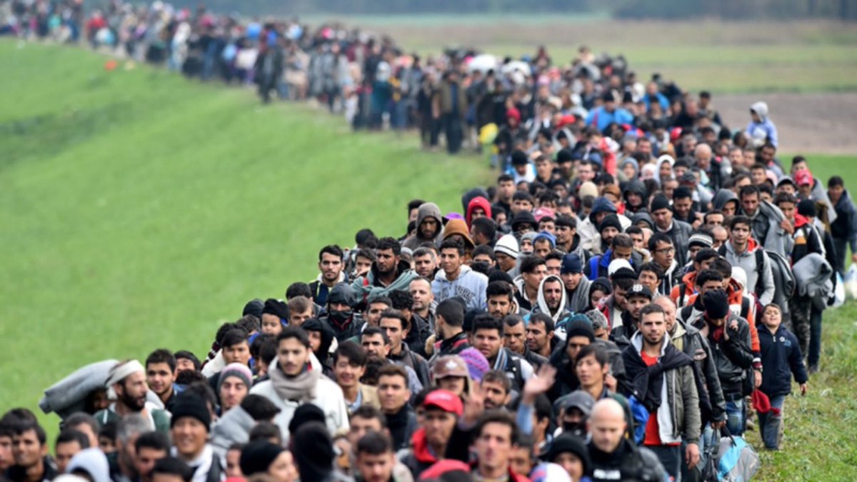 ChristofLefevre's tweet photo. Puisqu’on va nous imposer des migrants dans nos campagnes, je propose que les communes qui ont placé la gauche largement en tête aux municipales soient servies en priorité !
Que ces électeurs et leurs maires goûtent leur politique ! 😏
@GilbertCollard #caillac https://t.co/LTfhQgYnr7