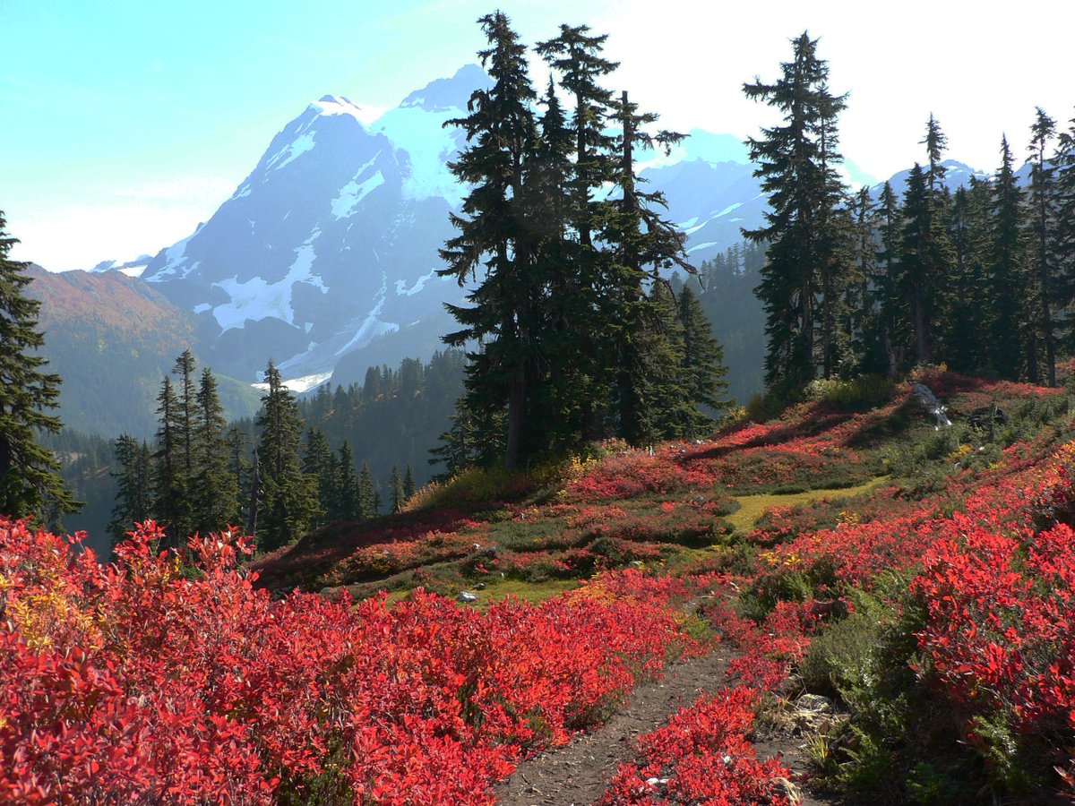ForestServiceNW's tweet photo. There’s something in the quiet beauty of the mountains & rivers & forests that draw you for another adventure.
#MondayMotivation https://t.co/WuTjTiSPII