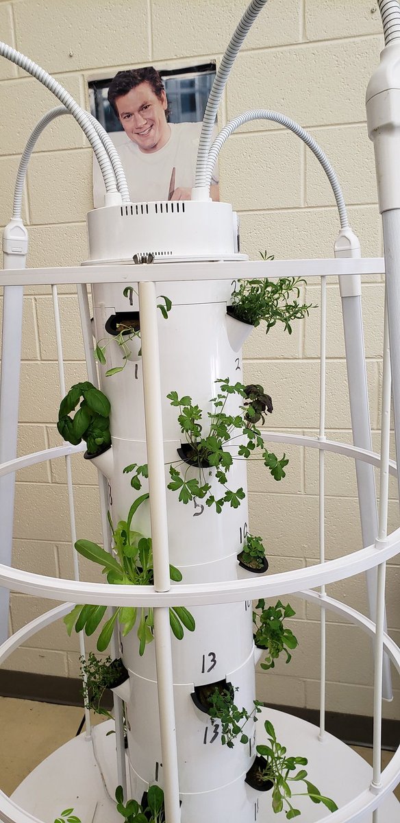 PHSCulinary2's tweet photo. @TylerFlorence we appreciate you watching over our herbs at night. https://t.co/JnptGzzxs2