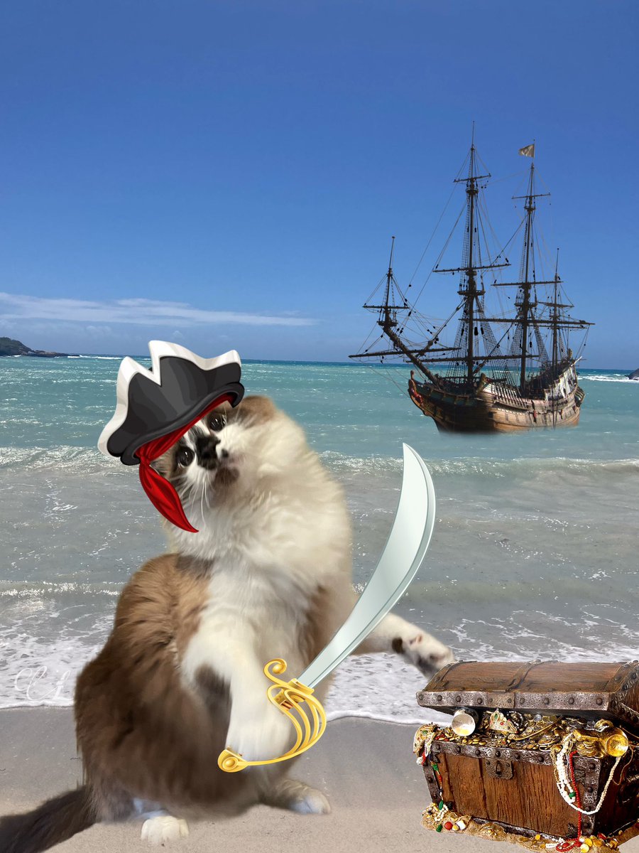 Andrea56822453's tweet photo. #PhotoChallenge2022September 
Day 19: pirate name
Ahoy me hearties! Avast ye! Today be #TalkLikeAPirateDay and me pirate name be Captain Fluffbeard the Floof! Arrrr
#CatsOfTwitter #cats https://t.co/CmGPQQwhTt