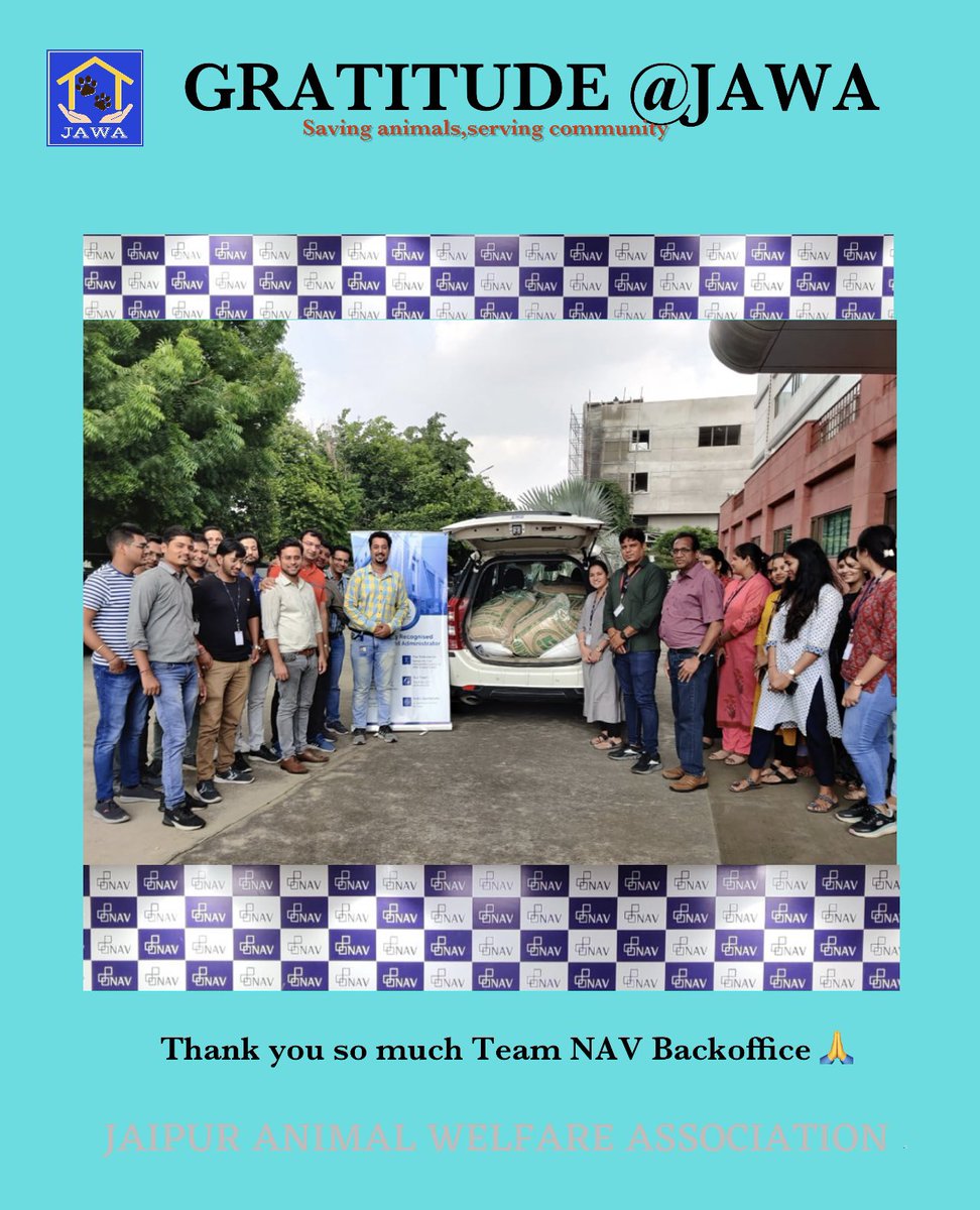 JAWA_2019's tweet photo. ๐๐๐๐๐
Team ๐๐๐๐ is grateful to NAV Backoffice for the kind donation provided to support our welfare work.
๐ฎ๐๐๐๐๐๐๐
๐ @๐๐๐๐
#gratitude #kinddonations #navbackoffice #donateforacause #donateforagoodcause #teamjawaforanimals https://t.co/3iWclFagQi